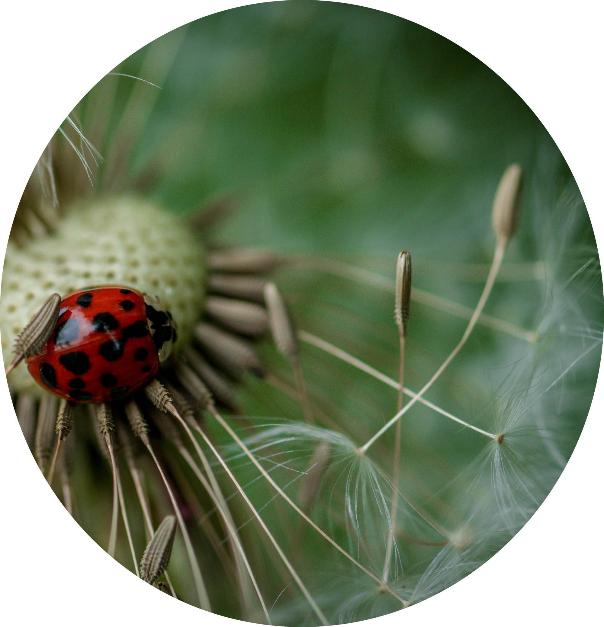 sven-gauditz-V7q4HgvUVUc-unsplash – copie sven-gauditz-V7q4HgvUVUc-unsplash - copie
